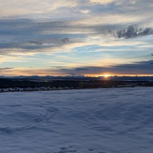 Meet your Posher, Teigan